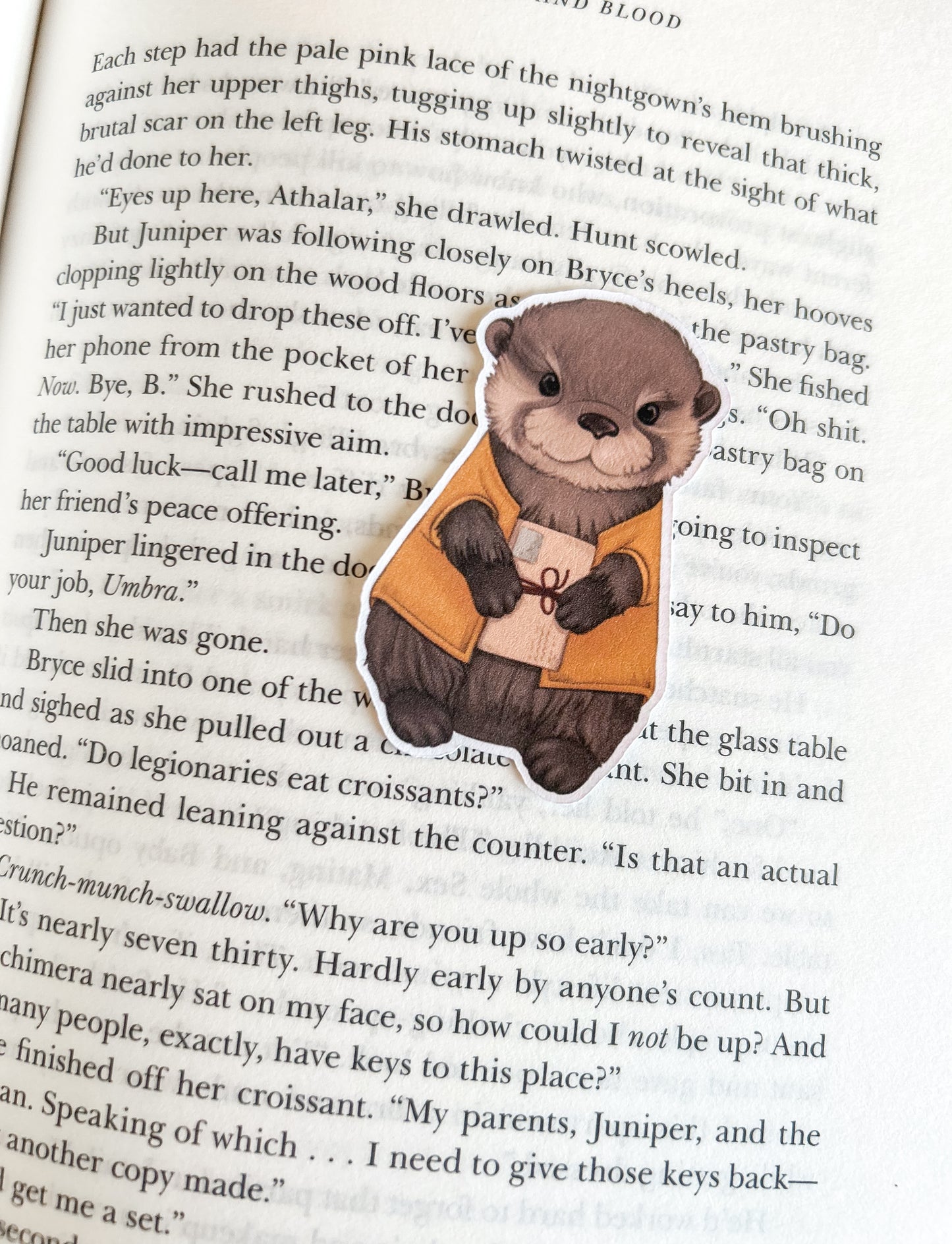 CC otter sticker