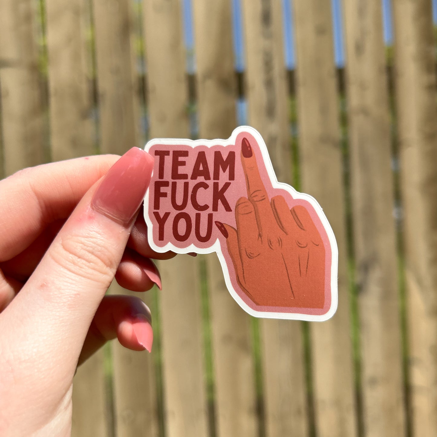 Team f**k you sticker